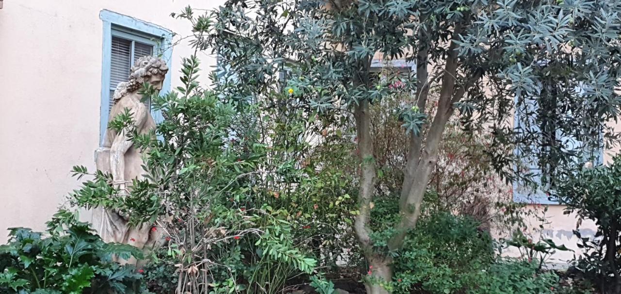 カルカソンヌUn Petit Coin De France : A Cote De La Cite Medievaleアパートメント エクステリア 写真